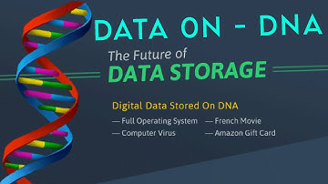 The Simulation is NOW with Data Storage on UR DNA