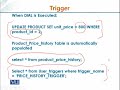 CS405 Database Programming using Oracle 11g Lecture No 223