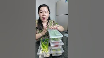 Combo 5 hộp để tủ lạnh, hộp nhựa dài có khay ráu nước #dungdanda7 #reviewgiadung #youtubeshopping