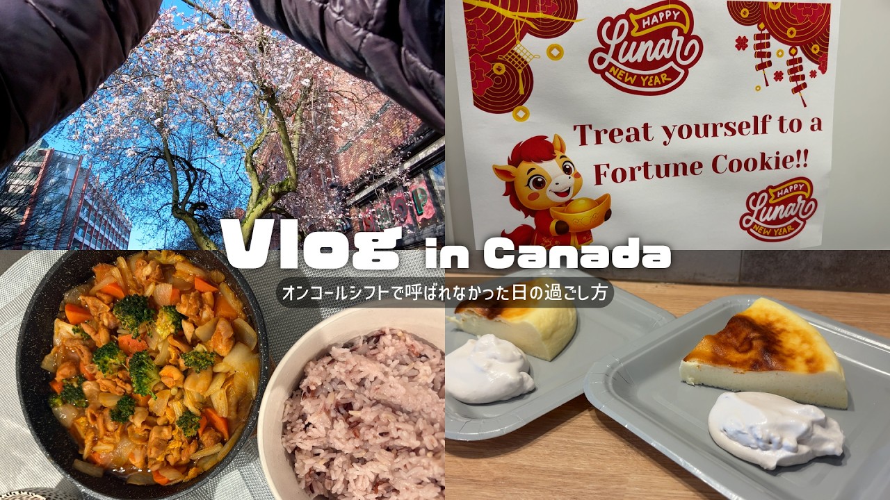 【日常】仕事の電話が鳴らなかった日🇨🇦炊飯器チーズケーキとのんびり自炊を楽しむ1日🥘((ちょっとだけ職場の様子も👀))