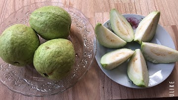 V70 tác dụng tuyệt vời của quả ổi / lợi ích của quả ổi