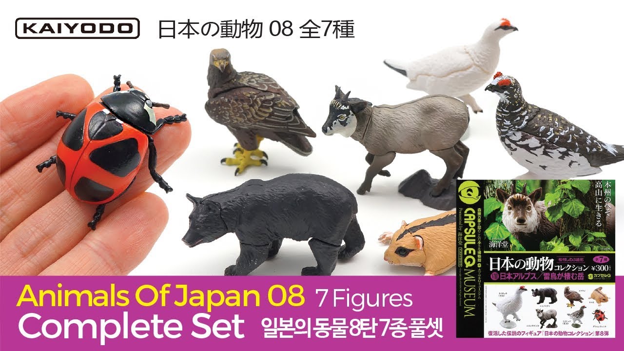 Animals Of Japan Vol.08 : JAPANESE ALPES / 日本の動物 8 : 日本アルプス / Capsule Q Museum