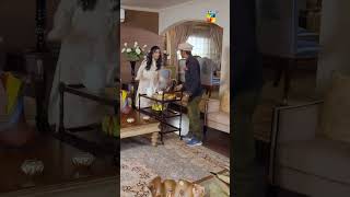 Umeed Chai Par Toot Parhi😅-Fairy Tale - [Sehar Khan &amp; Hamza Sohail ] #shorts