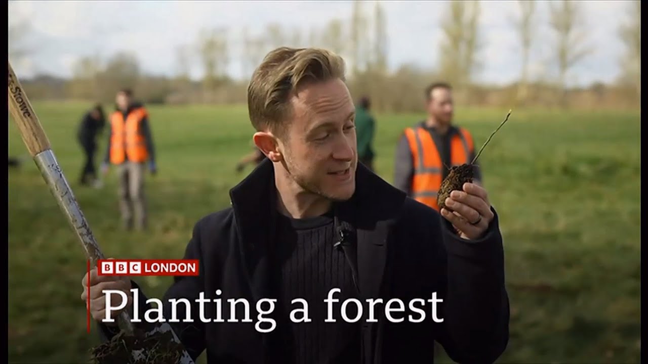 Planting a forest in the London region, how and where? (UK) 14/Mar/2025