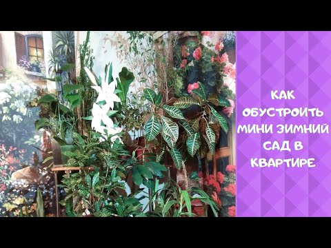 КАК ОБУСТРОИТЬ МИНИ ЗИМНИЙ САД  в КВАРТИРЕ. HOW TO EQUIP A MINI WINTER GARDEN in AN APARTMENT