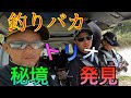 三人組でチヌ釣りをする動画
