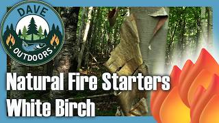 Natural Fire Starters: White Birch 🔥🔥