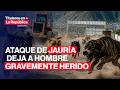 🔴 TRÁGICO ataque de JAURÍA deja a obrero grave en AREQUIPA #TLR