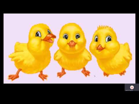 ქათული ენა და ლიტერატურა -  I კლასი. პირველი გაკვეთილი