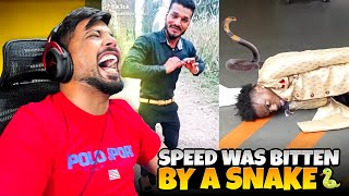 I show speed bitten by sna*ke 🐍😂 meme reaction