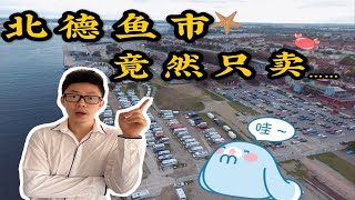 【床车游德国】北德小镇海滨度假区—瓦尔内明德|这海港真精致，就是这像拖拉机一样的房车太吓人了····|第十五站{下}|Rostock Warnemünde