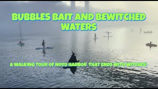 HARBOR WITCHES