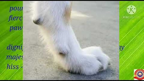 KRSMA#Standard 6 English Part 3 Unit 3 Lesson 2 The Rightful Inheritors Of The Earth.