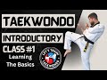 الصف الأول من التايكوندو تعلم الأساسيات