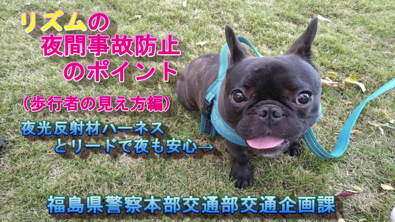 リズムの夜間事故防止のポイント 歩行者の見え方編 Youtube リズムの夜間事故防止のポイント 歩行者の見え方編 Youtube