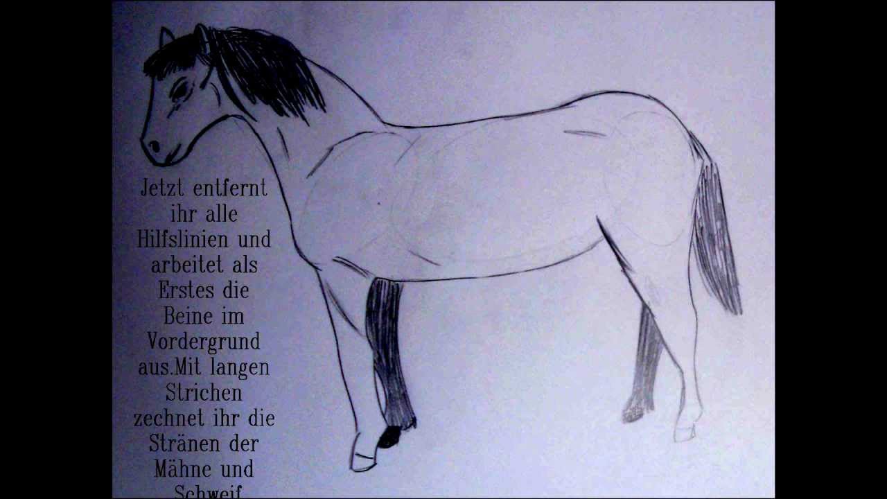 Pony zeichnen - YouTube