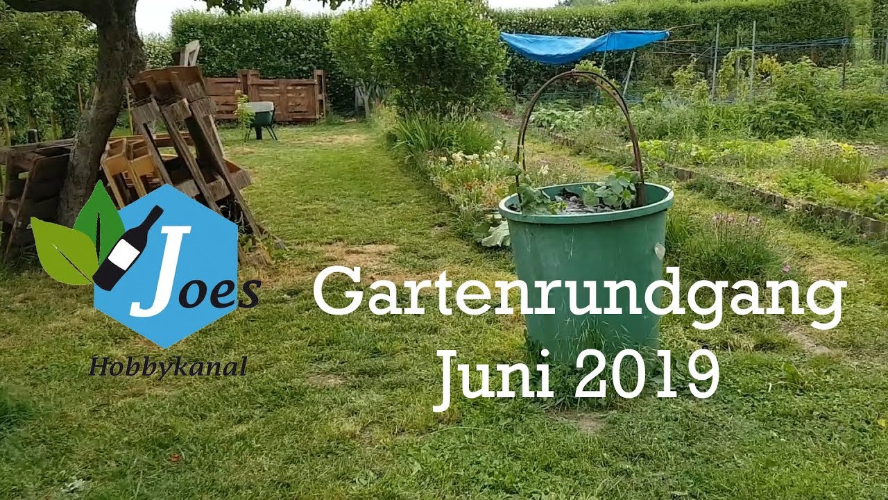 Gartenrundgang Juni 2019