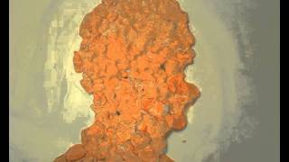 Introducing Synthetic Biology - by iGEM Team TU Munich 2011
