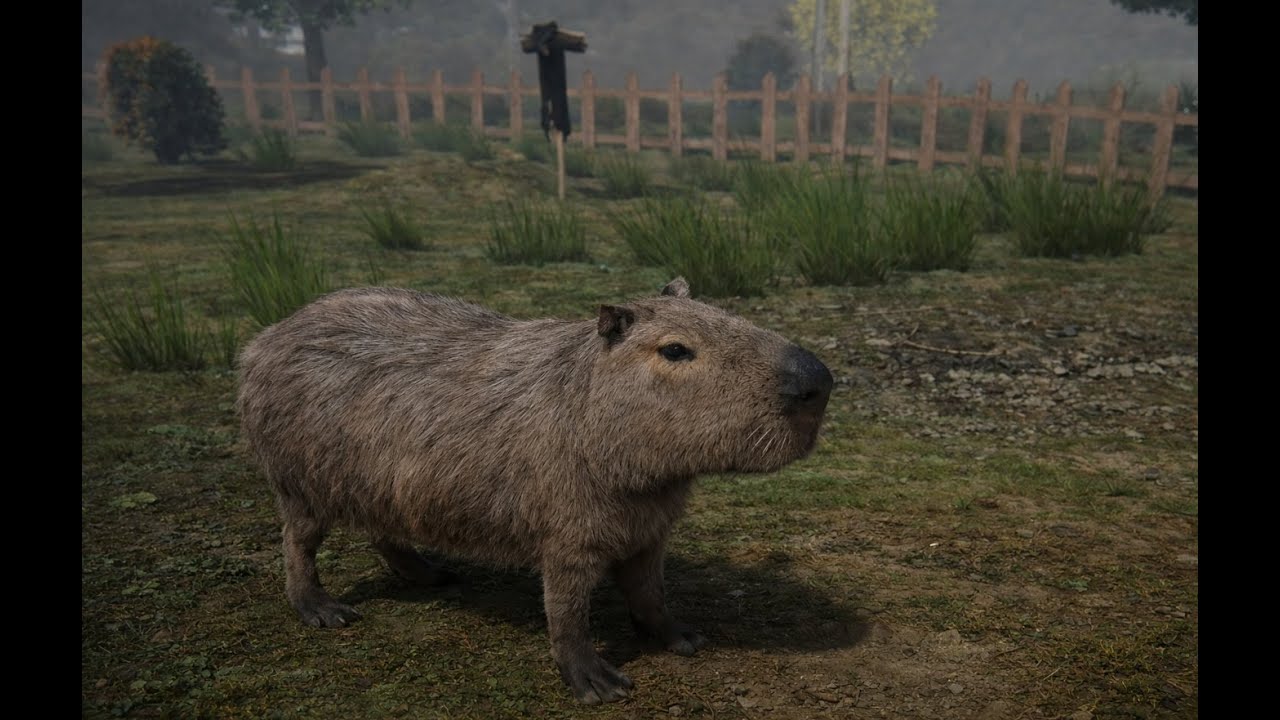 KACIPBARA - "No Commentary" Gameplay