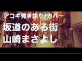 坂道のある街/山崎まさよしカバー/アコギ弾き語り/wakami /garage band rec