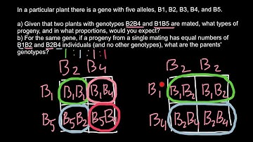 How to solve problems with multiple alleles