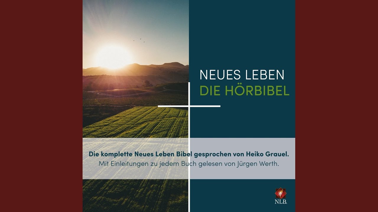 Römer 8 - Die komplette Neues Leben Bibel
