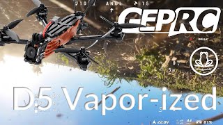 GEPRC Vapor D5 5'' FPV goggles view - I VaporiZed my drone - 4k 60fps