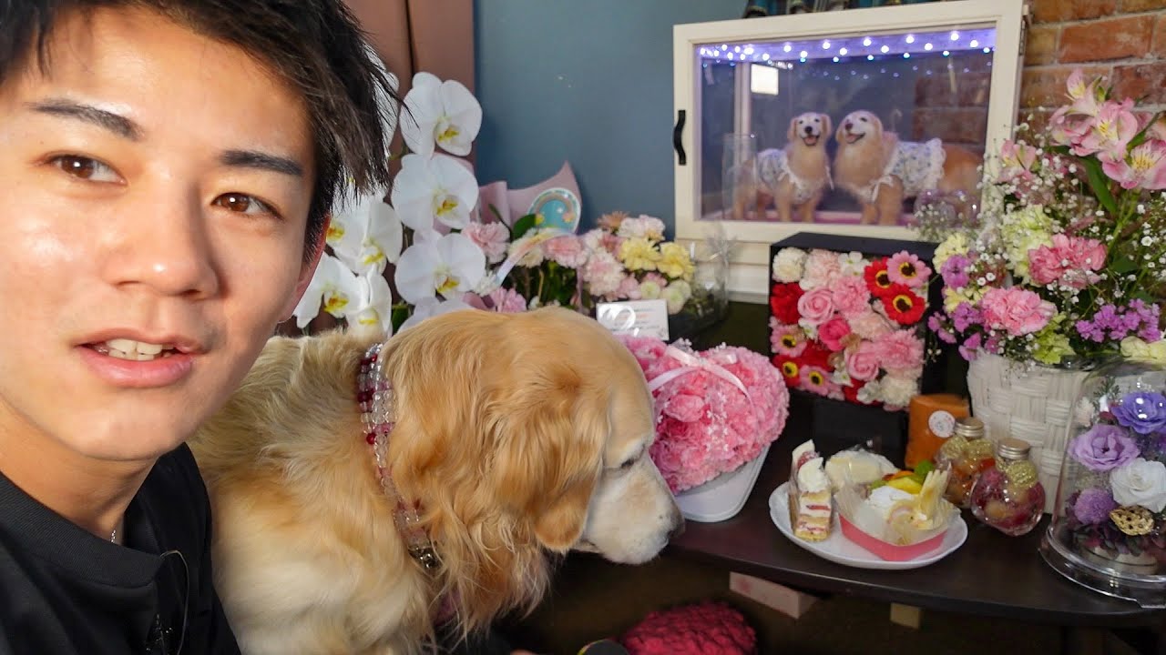 It's A-chan's birthday!🎂 - YouTube