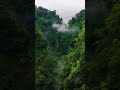 Natural place ♥️