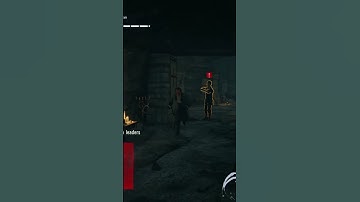 This is why you should not escape through the front door  #assassinscreed #acunity #gaming