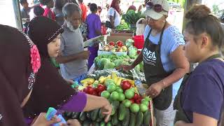 HEAL (Healthy Eating Active Living)