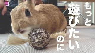 メーカーに問い合わせしてみました #685