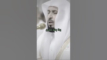قران كريم ايات تريح القلب #سعد_الغامدي#ارح_سمعك #ارح_قلبك  #quranhearts