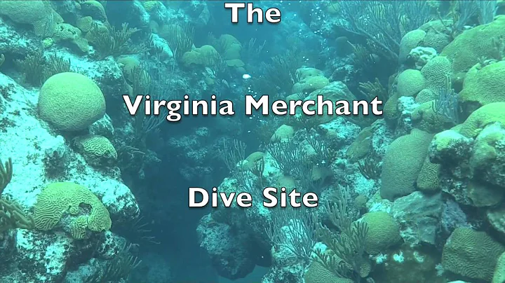 2014 06 29 Tugs and Virginia Merchant Dive with Bl...