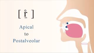 [ r̠̊ ] unvoiced apical postalveolar trill