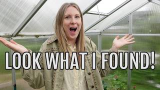 LOOK WHAT I FOUND IN HERE!! / EMMA'S ALLOTMENT DIARIES