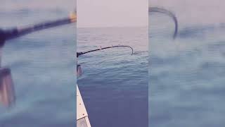 20230301 🌊潔朋2號 深場班❤️