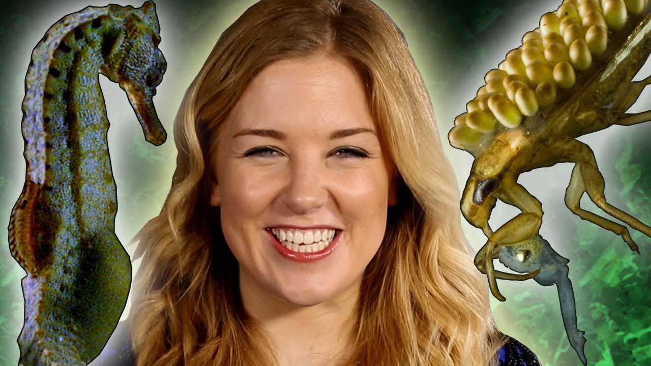 Top 10 Best Animal Dads! Earth Unplugged YouTube