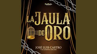 Video thumbnail of "Jose Luis Castro - La Jaula de Oro"