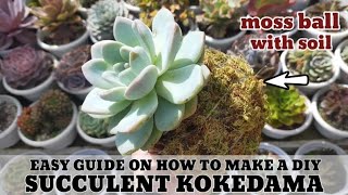 How to make a Succulent Kokedama Moss ball | Madali lang gawin 다육식물 | 多肉植物 | Suculentas