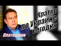 Платошкин.Н.Н. Краткое мнение по Украине.