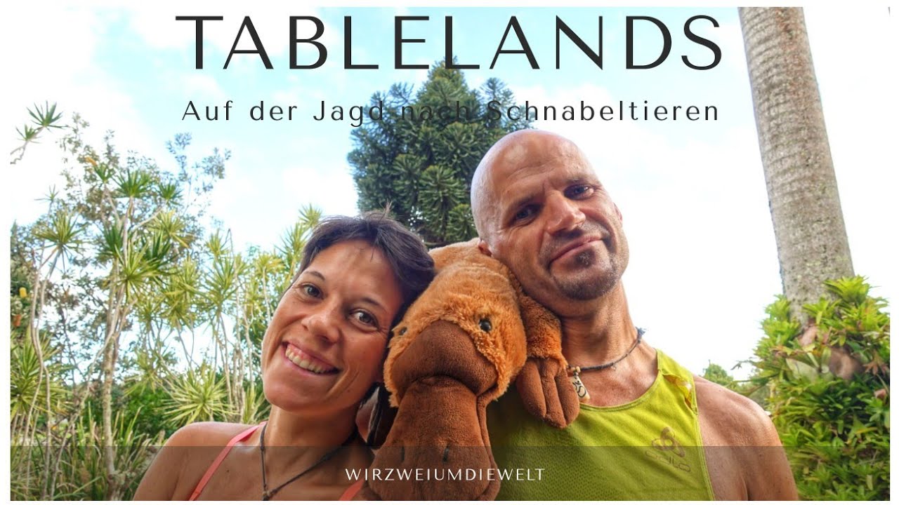 WELTREISE-VLOG#143 Auf Jagd nach Schnabeltieren in den Tablelands & Cathedral Fig Tree