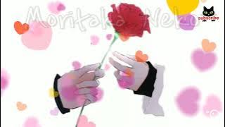 Zaujatii ( istriku ) lagu arab romantis liric translate