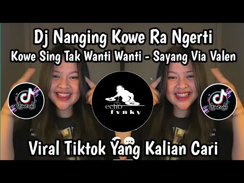 DJ NANGING KOWE ORA NGERTI KOWE SING TAK WANTI WANTI - DJ SAYANG VIA VALLEN VIRAL TIKTOK !!!