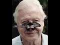i’m 3 days late shhh.. 🥲 #davidattenborough #happybirthday #fyp #edit #capcut