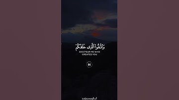 ﴿وَاتَّقُوا الَّذي خَلَقَكُم وَالجِبِلَّةَ الأَوَّلينَ﴾ | سورة الشعراء | الشيخ المنشاوي رحمه الله