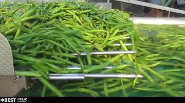 Green bean sorting machine Felix - TOMRA Sorting