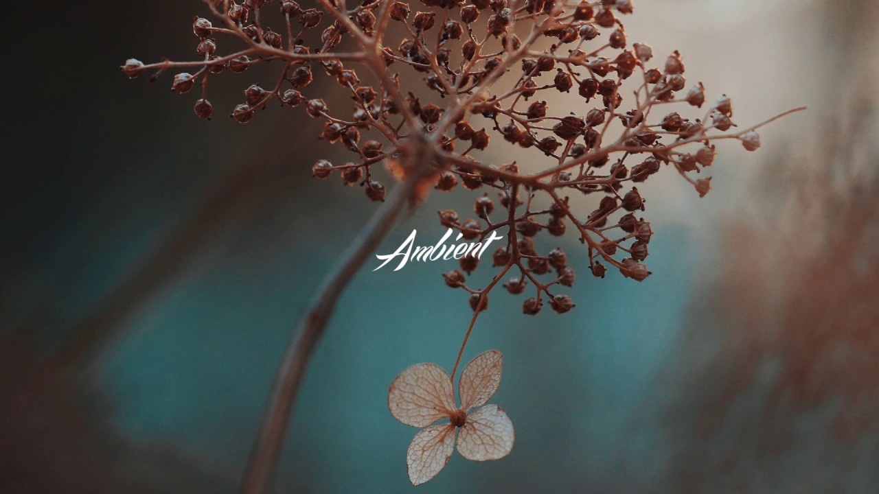 ⁣Joachim Heinrich - Blue Green Grey