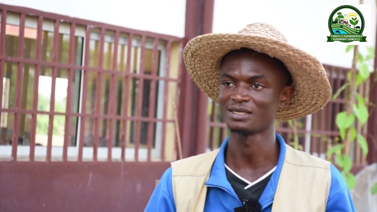 Comment réussir une Culture  hors sol