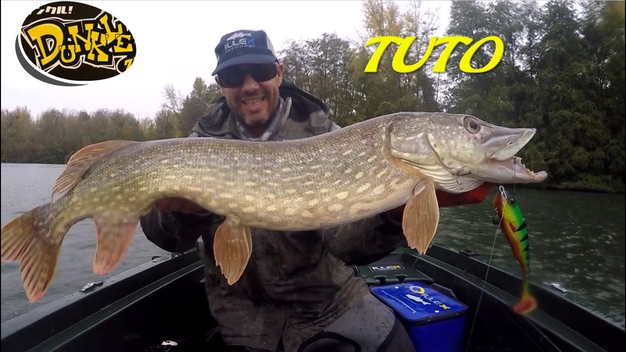 TUTO – SOFT SWIMBAIT – DUNKLE ILLEX